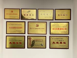 公司榮譽