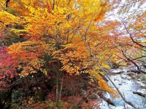 （悅享江南一價全包）華東五市+三水鄉+三園林雙飛六日游