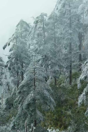 【成都出發】瓦屋山、柳江古鎮純玩二日游
