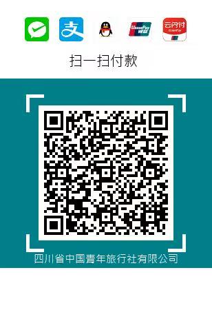 怎么網上支付？